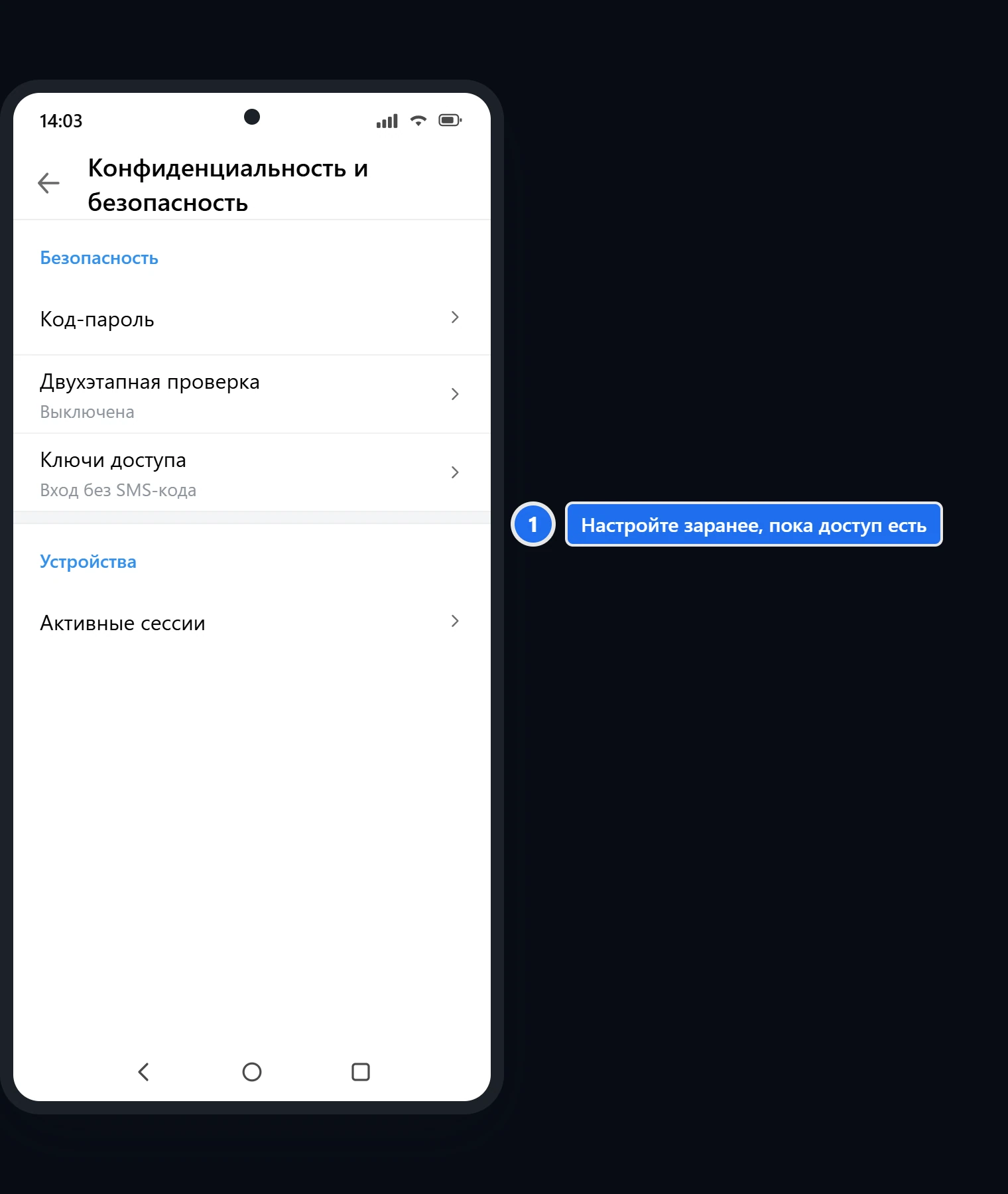 Раздел настроек Telegram «Конфиденциальность и безопасность» с пунктами двухэтапной проверки и ключа доступа, без личных данных