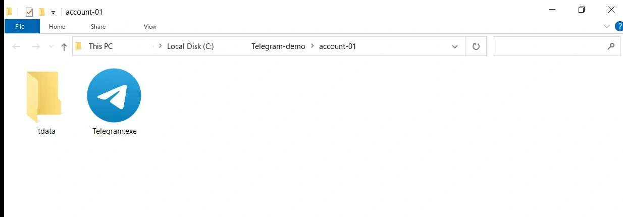 A tdata folder and Telegram.exe in one directory of a portable build